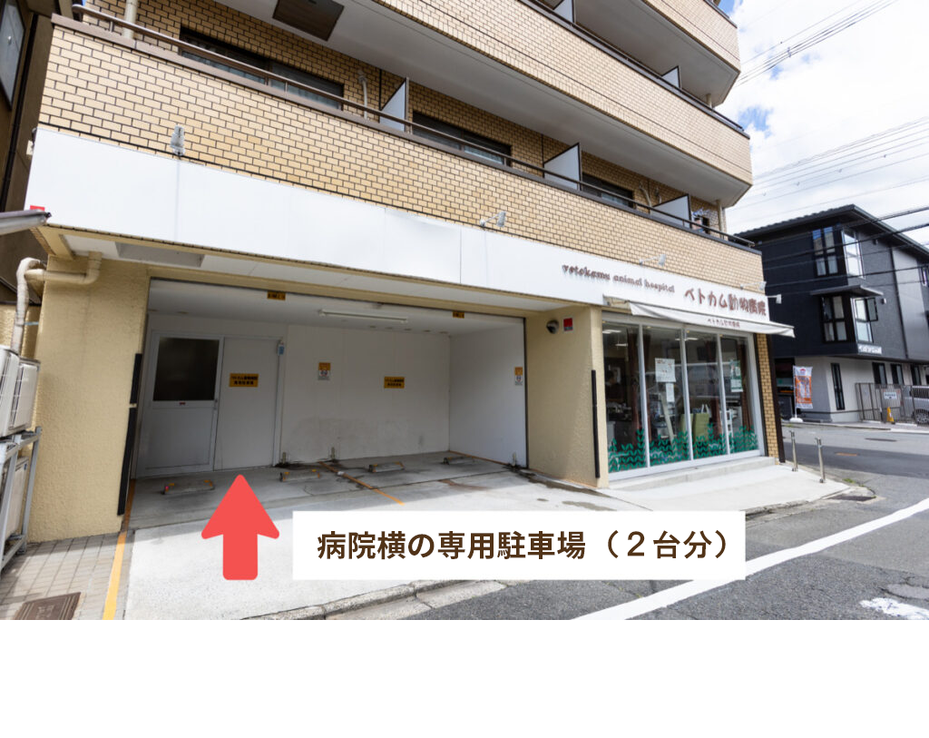 病院横の専用駐車場